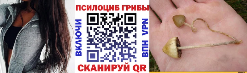 Галлюциногенные грибы Cubensis Качканар